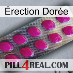 Érection Dorée 09